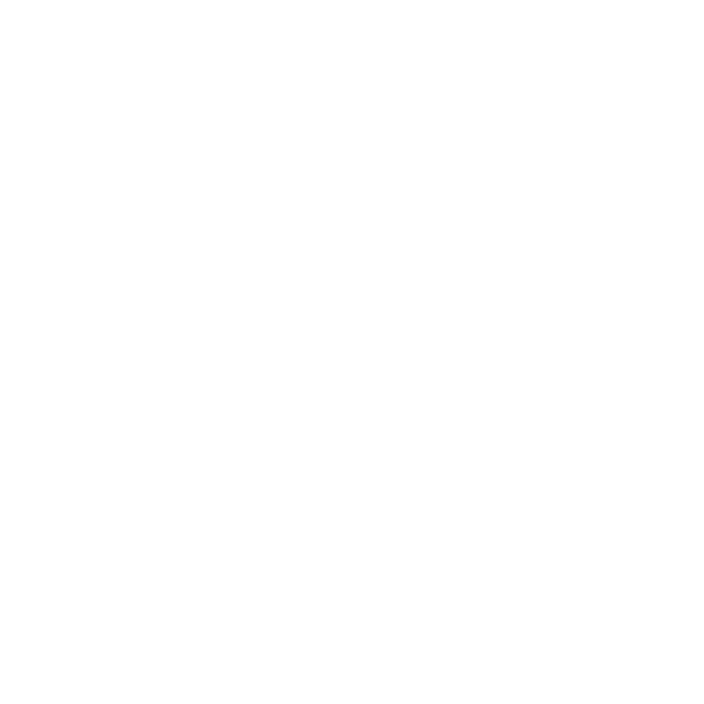 Lio ibiza logo